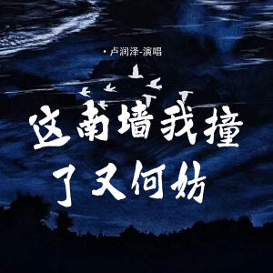 Album 这南墙我撞了又何妨 from 卢润泽