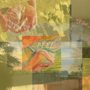 Album Feel from Sumohair