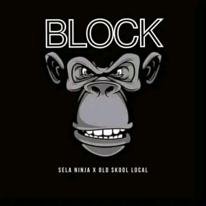 Dengarkan lagu Block nyanyian Sela Ninja dengan lirik