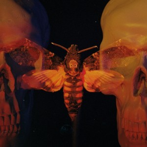 Album Fatal Flaw from flawed mangoes