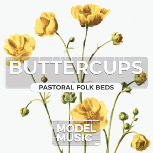 Listen to Bramble & Bliss song with lyrics from Pip Heywood