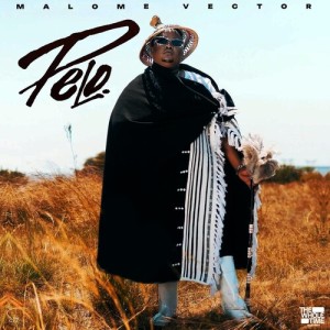 Album Pelo from Malome Vector