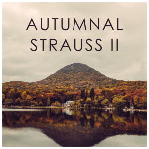 Johann Strauss II的專輯Autumnal Strauss II