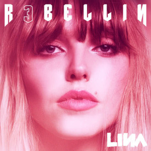 ดาวน์โหลดและฟังเพลง Hype (Karaoke Version) พร้อมเนื้อเพลงจาก Lina（欧美）