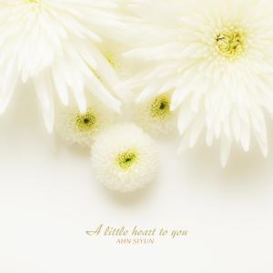 Album A Little Heart To You oleh Ahn Siyun