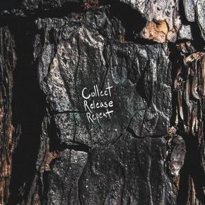 Listen to Collect, Release, Repeat (Explicit) song with lyrics from David D'Angelo