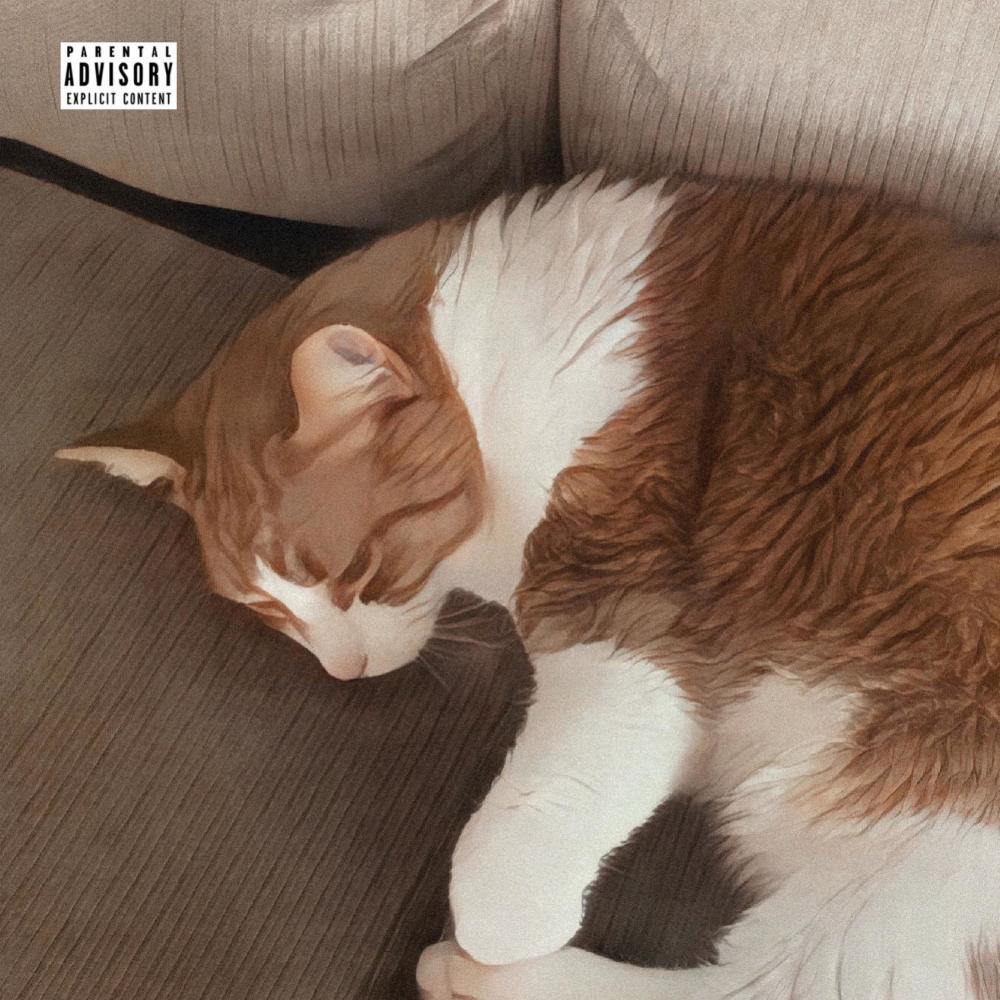Easy On Me (feat. Doku) (Explicit)