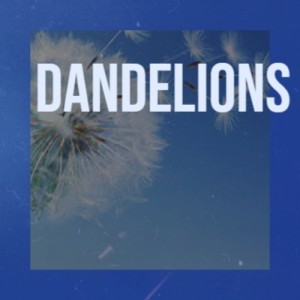收听Nasimiyu Murumba的Dandelions歌词歌曲
