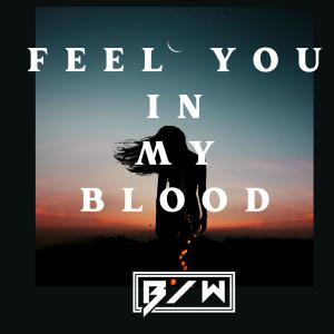 อัลบัม Feel You In My Blood (Radio Edit) ศิลปิน B/W