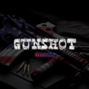 Listen to GunShot song with lyrics from Drago