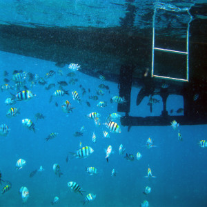 ดาวน์โหลดและฟังเพลง Below the Surface พร้อมเนื้อเพลงจาก Ambiance