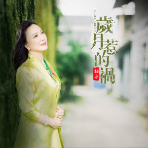 Listen to 岁月惹的祸 song with lyrics from 梅朵