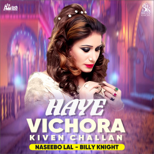 收聽Naseebo Lal的Haye Vichora Kiven Challan (Remix)歌詞歌曲