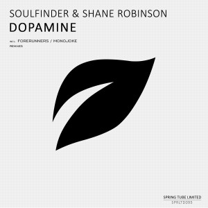 Soulfinder的專輯Dopamine