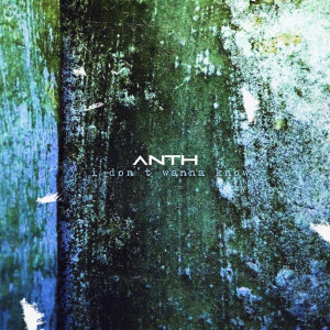 ดาวน์โหลดและฟังเพลง I Don't Wanna Know พร้อมเนื้อเพลงจาก ANTH