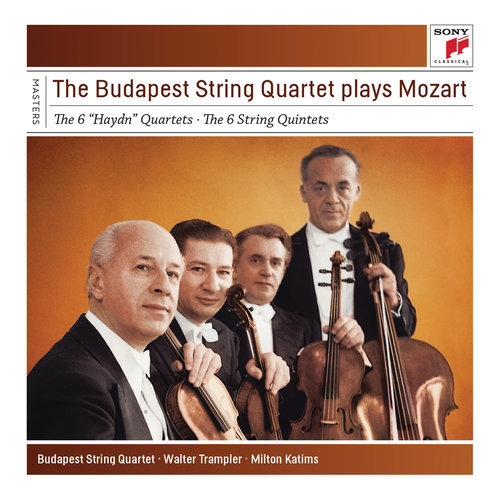 Quintet No. 5 in D Major for Strings, K. 593: IV. Allegro