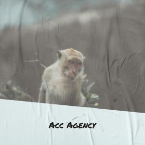 收聽Kune Kpee的Acc Agency歌詞歌曲
