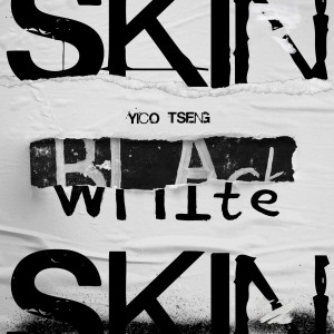 Album Skin oleh 曾轶可
