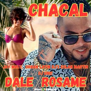 Listen to Dale Rosame (Urban Latin Edit) song with lyrics from Chacal