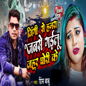 Listen to Jindgi se hamra jabse gailu jahar gholi ke song with lyrics from Prince Babu