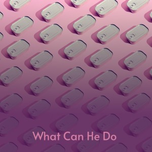 Various的专辑What Can He Do (Explicit)