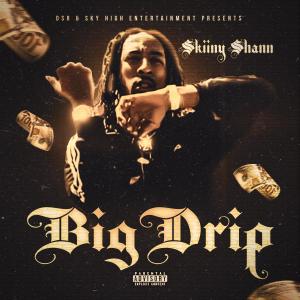 Album Big Drip (Explicit) from SkiinyShann
