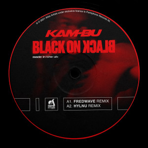Black on Black (Remixes) (Explicit)