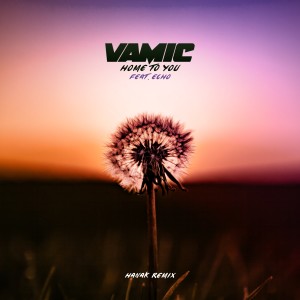 收聽Vamic的Home to You (HANÁK Remix)歌詞歌曲