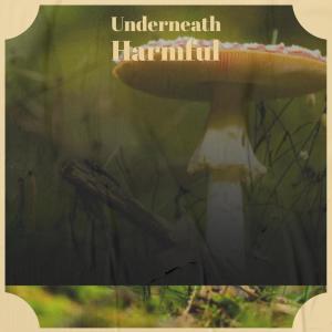 收听Mael Kaell的Hydroelectric Easiness歌词歌曲