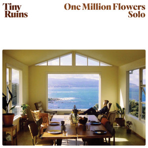 Listen to One Million Flowers (Solo) song with lyrics from Tiny Ruins