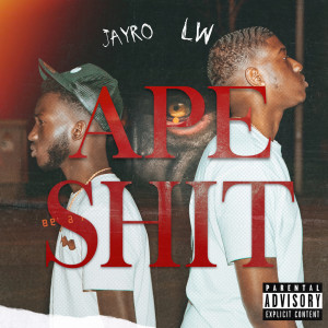 Listen to Apeshit (Explicit) song with lyrics from Jayro