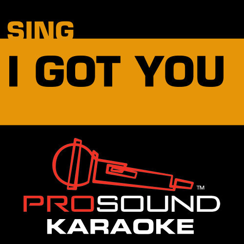 I Got You (Karaoke Instrumental Track) [In the Style of Jack Johnson]