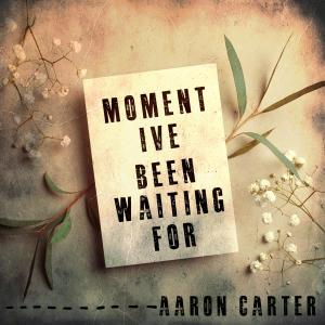 Aaron Carter的專輯Moment I've Been Waiting For