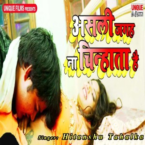 Album Asali Jagah Na Chinata Hai from Hitanshu Tahalka