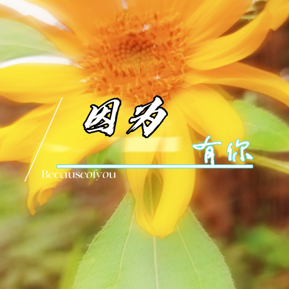 因为有你 (伴奏)
