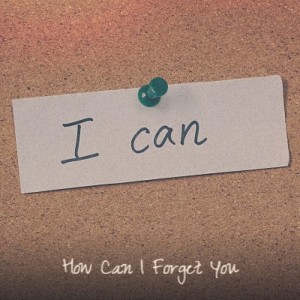 อัลบัม How Can I Forget You (Explicit) ศิลปิน Various