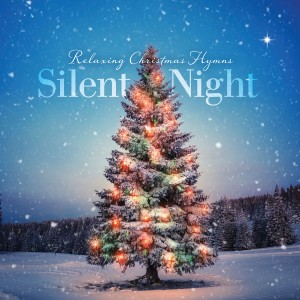 ดาวน์โหลดและฟังเพลง I Saw Three Ships พร้อมเนื้อเพลงจาก Steve Wingfield