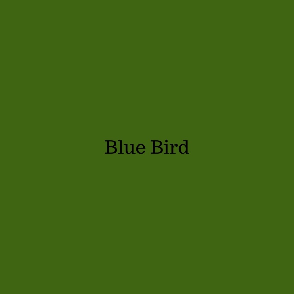 Blue Bird