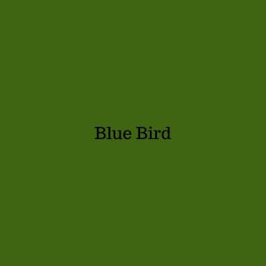 收聽Dammy的Blue Bird歌詞歌曲