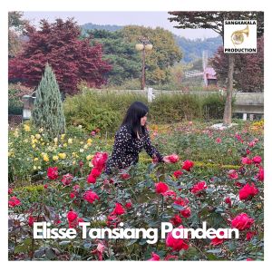 Listen to Hanya PadaMu song with lyrics from Elisse Tansiang Pandean