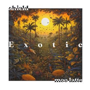Dengarkan lagu Exotic nyanyian Shield dengan lirik