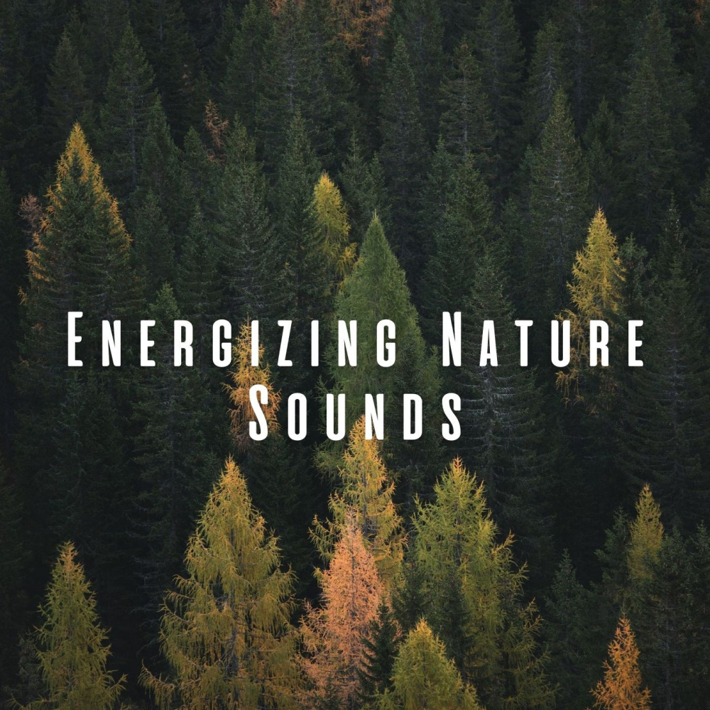 Nature's Harmony