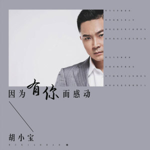 Listen to 因为有你而感动 (伴奏) song with lyrics from 胡小宝