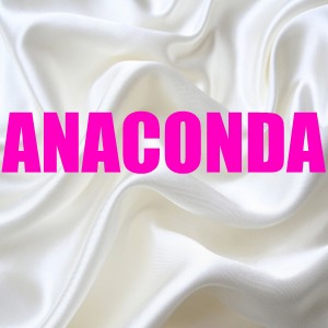 ดาวน์โหลดและฟังเพลง Anaconda พร้อมเนื้อเพลงจาก BeatRunnaz