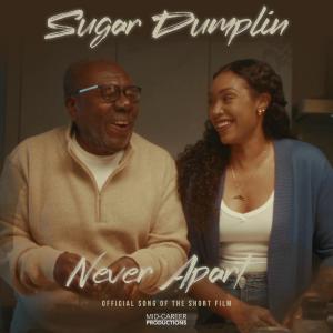 收聽Sugar Dumpling的Never Apart (feat. Kenny Blake)歌詞歌曲