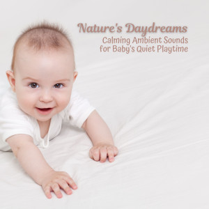 Album Nature's Daydreams: Calming Ambient Sounds for Baby's Quiet Playtime from Babyboomboom