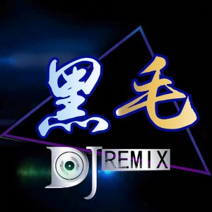 Listen to 2020超重低音车载 (Remix) song with lyrics from DJ黑毛