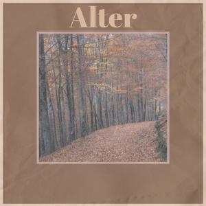ดาวน์โหลดและฟังเพลง Alter พร้อมเนื้อเพลงจาก Daan Eugen
