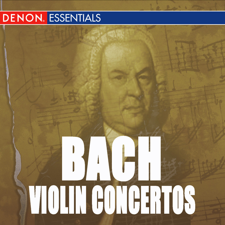 Violin Concerto No. 2 in E Major, BWV 1042: II. Adagio