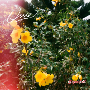 Listen to Hoping & Coping song with lyrics from Ossie
